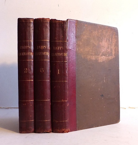 Image for The Baby's Grandmother (1884) The Baby's Grandmother (1884)