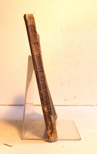 Image for The Innocents Abroad (1869) The Innocents Abroad (1869)